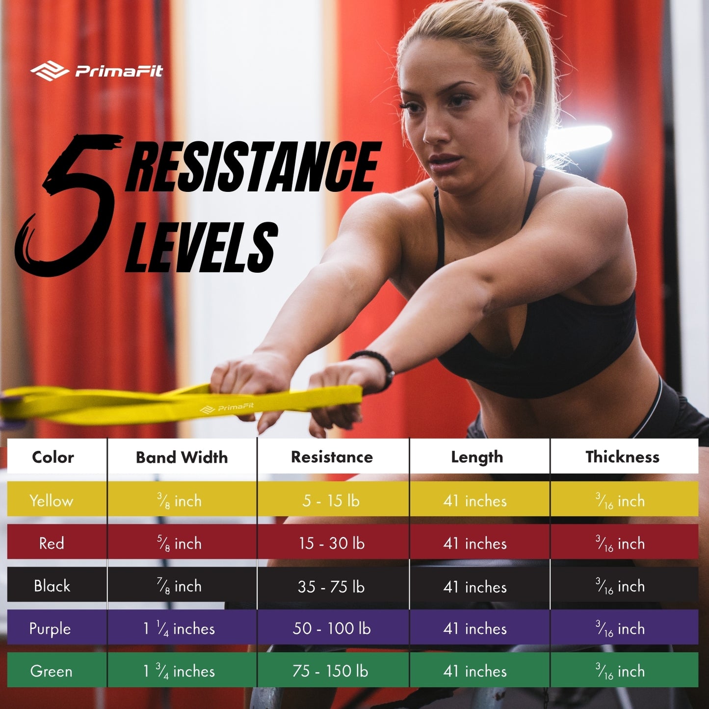 PrimaFit Resistance Bands (5-Pack)